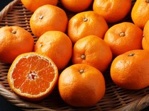 Apa Itu Serabut Putih pada Jeruk, Apakah Aman Dikonsumsi?