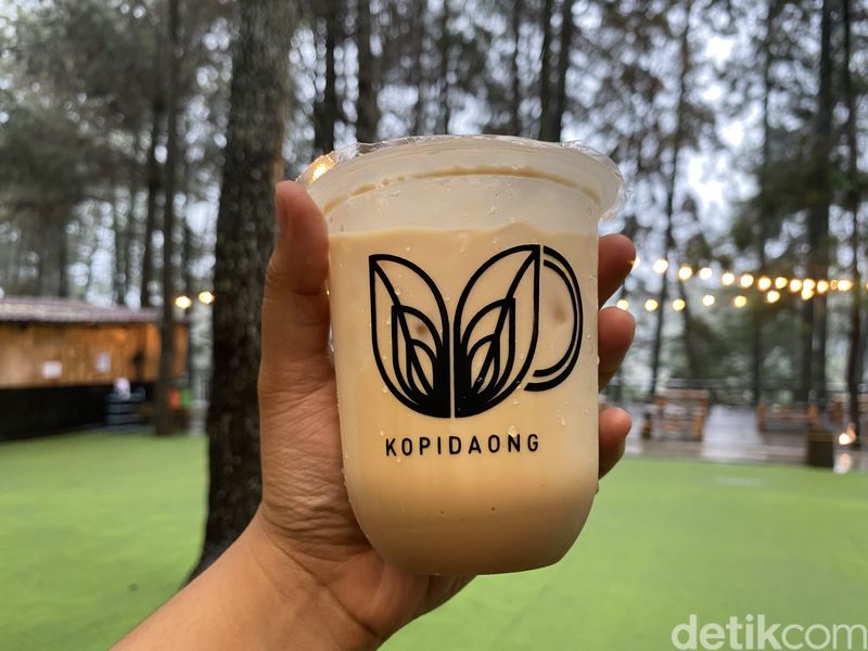 Ngopi Kekinian Ditemani Panorama Hutan Pinus