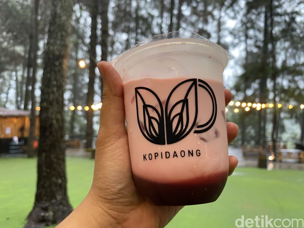 Ngopi Kekinian Ditemani Panorama Hutan Pinus