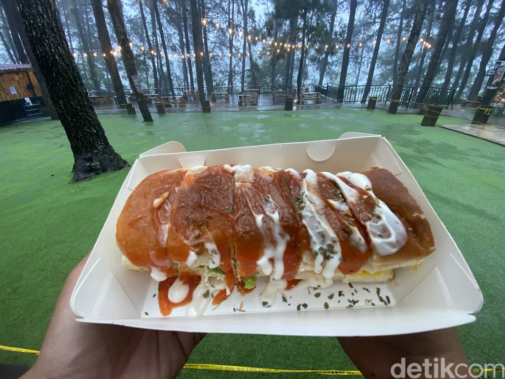 Ngopi Kekinian Ditemani Panorama Hutan Pinus