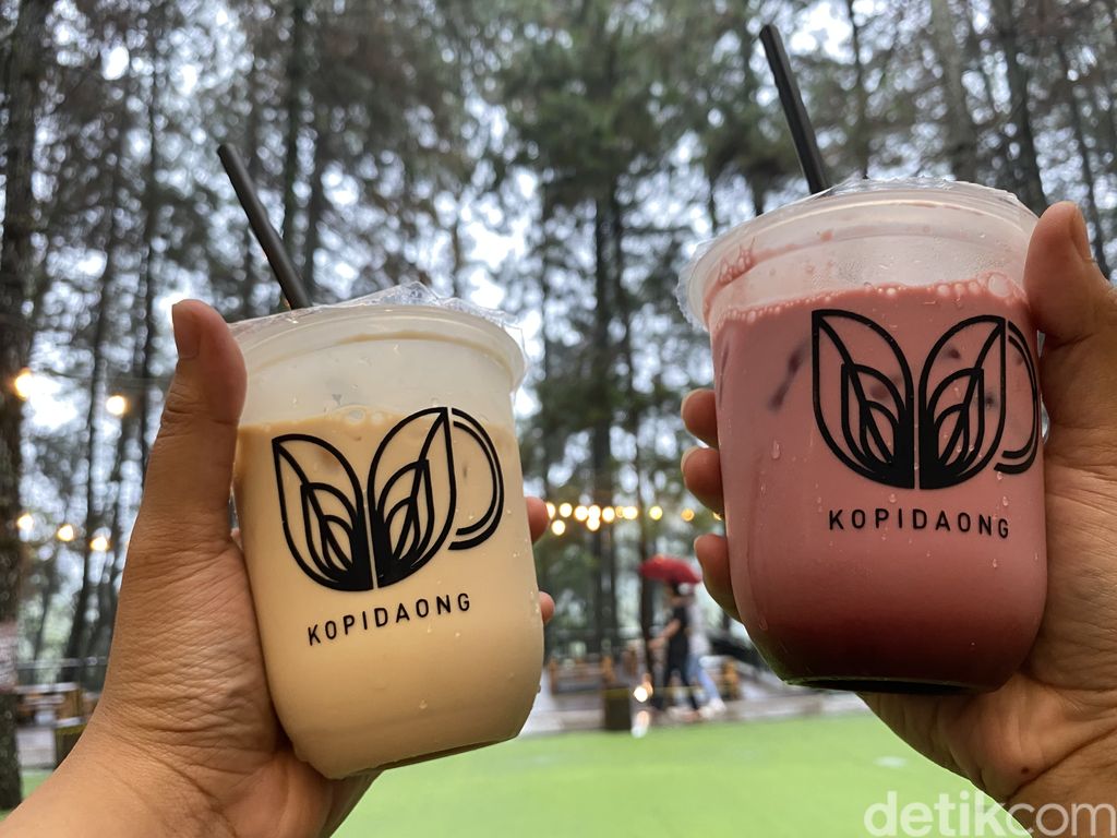 Ngopi Kekinian Ditemani Panorama Hutan Pinus