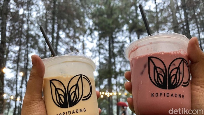 Ngopi Kekinian Ditemani Panorama Hutan Pinus