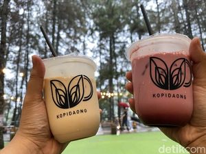Adem! Ngopi dan Nongkrong Asyik di 5 Kafe Tengah Hutan yang Sejuk