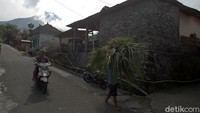Seperti diketahui, warga di Dusun Krinjing, sebagian besar bermata pencaharian sebagai petani dan peternak sapi.