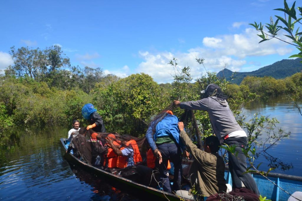 Perjalanan Madu 'Manuka' Indonesia, dari Hutan ke Meja Makan