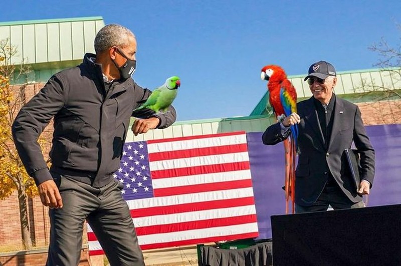 Photoshop Obama Biden