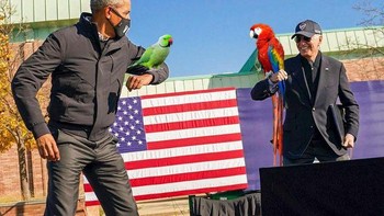 Wah, ternyata keduanya punya burung peliharaan yang bagus. Foto: Imgur