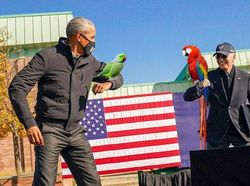 Adu Sikut Obama dan Biden Jadi Bahan Photoshop Kocak