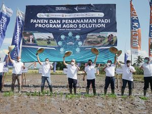 Rahmad Pribadi Optimis Agro-Solution Tingkatkan Produktivitas Petani