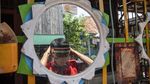 Saat Ayam Jago Jaga Kampung Dari Corona