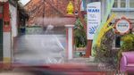 Saat Ayam Jago Jaga Kampung Dari Corona