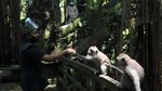 Sudah Tahu Belum, Monkey Forest Ubud di Bali Sudah Buka Lagi Lho