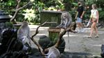 13 Destinasi Populer di Bali dalam Foto