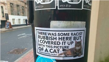 Hari gini masih rasis? Mendingan ditimpa deh dengan foto kucing yang gemesin! Foto: via Bored Panda