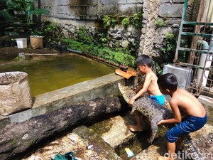 Bocah Kembar di Bandung Barat Ini Berenang Bareng Ular-Buaya!
