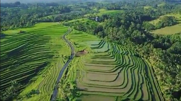 Desa Wanagiri Kauh