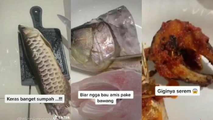 Harganya Jutaan Rupiah, 5 Ikan Hias Ini Malah Digoreng