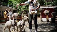 Wijin bukanlah artis atau penyanyi, ia dikenal berprofesi sebagai atlet basket. Di sela kesibukannya, ia kerap meluangkan waktu untuk santai sambil kulineran.  Foto: instagram @jaysforeal