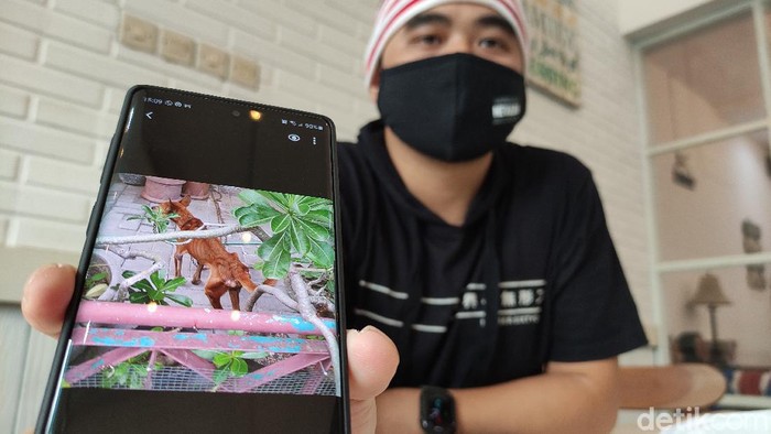 Ketua Paw Family Semarang,Ananta menunjukkan anjing yang diselamatkan komunitasnya