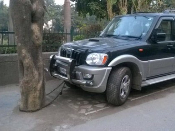 Mobil Dirantai ke Pohon