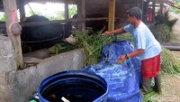 Alasannya adalah tidak efisiennya pemberian pakan ternak. Ini karena setiap peternak harus naik ke Kalitengah Lor untuk mengambil pakan.