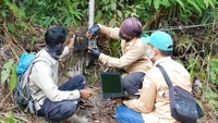 Sejumlah ranger bersama karyawan PT Royal Lestari Utama (RLU) yang ditugaskan khusus untuk menjaga area lindung di dalam kawasan HTIperusahaan, mengambil data dari camera trap yang dipasang untuk memantau keberadaan satwa liar di kawasan Wildlife Conservation Area(WCA) yang dikelola RLU di Jambi, Sabtu (7/11). Foto: dok. RLU