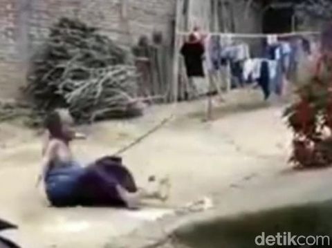 Video Nenek Asal Trenggalek Didorong Hingga Terjengkang Viral