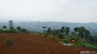 Keindahan lanskap kota Bandung 180 derajat bisa terlihat dari wisata kuliner Caringin Tilu. (Siti Fatimah/detikcom)