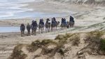 Wisata Menunggangi Unta di Bukit Pasir Australia
