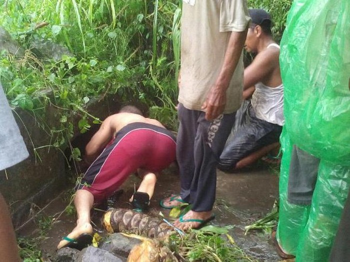 Sesosok balita ditemukan tersangkut di gorong-gorong selokan. Ia lepas dari pengawasan orang tuanya saat bermain hujan di depan rumah.