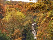 8 Tempat Terbaik untuk Menikmati Suasana Musim Gugur di Inggris