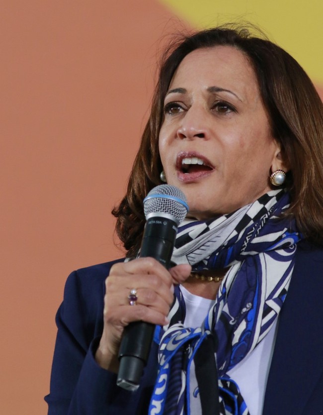 Kamala Harris lahir di Oakloand, California, dari ayah-ibu imigran keturunan India dan Jamaika. Setelah orangtuanya bercerai dia dibesarkan sendiri oleh ibunya, Shyamala Gopalan Harris, seorang peneliti kanker dan aktivis hak sipil. Foto: AFP/Mark Makela