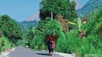 Melihat Aktivitas Warga di Kawasan Rawan Bencana Gunung Merapi