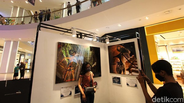 Tak sedikit pengunjung mal yang mampir sejenak untuk melihat beragam foto wayang yang dipamerkan di sana. Ada pula pengunjung yang berfoto dengan latar beragam lukisan wayang di pameran tersebut. Tak sedikit pengunjung mal yang mampir sejenak untuk melihat beragam foto wayang yang dipamerkan di sana. Ada pula pengunjung yang berfoto dengan latar beragam lukisan wayang di pameran tersebut.