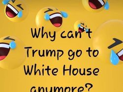 Meme Kocak Sambut Kekalahan Trump di Pilpres AS