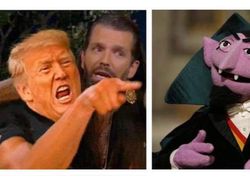 Meme Kocak Sambut Kekalahan Trump di Pilpres AS