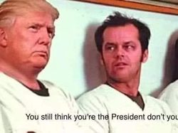 Meme Kocak Sambut Kekalahan Trump di Pilpres AS