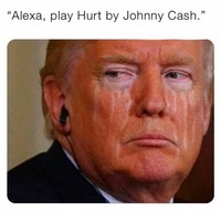 Meme Trump Kalah Pilpres