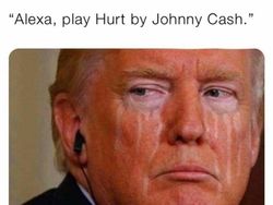 Meme Kocak Sambut Kekalahan Trump di Pilpres AS