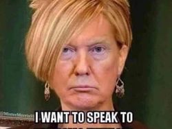 Meme Kocak Sambut Kekalahan Trump di Pilpres AS