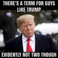 Meme Trump Kalah Pilpres