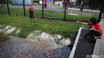 Seru, Warga Antusias Kasih Makan Ikan di Saluran Air Kawasan GBK