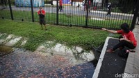 Tak sedikit warga yang antusias memberi makan ikan-ikan tersebut.