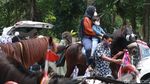 Foto: Wisata Naik Kuda Seru Keliling Bandung, Ini Tempatnya
