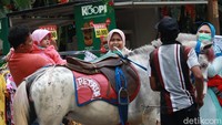 Jika traveler mau naik kuda di tempat ini, hanya ada saat akhir pekan Sabtu dan Minggu, kecuali libur panjang.