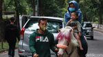 Foto: Wisata Naik Kuda Seru Keliling Bandung, Ini Tempatnya