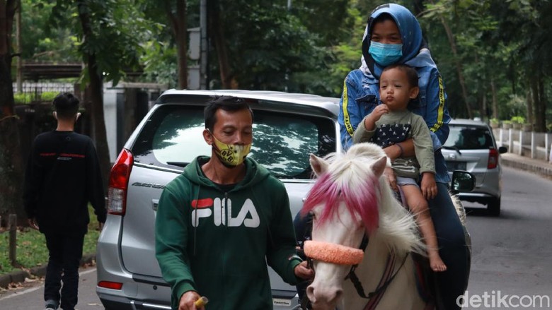 Wisata Naik Kuda Taman Lansia Bandung Wisata Naik Kuda Taman Lansia Bandung