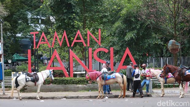 Wisata Naik Kuda Taman Lansia Bandung