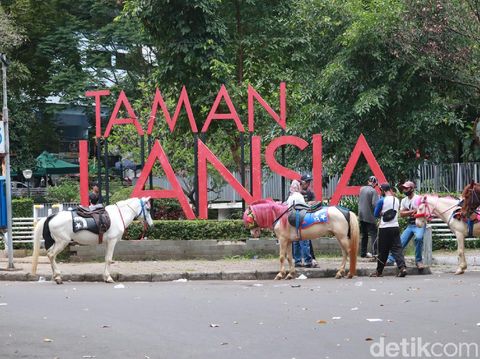 Wisata Naik Kuda Taman Lansia Bandung
