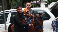 Untuk naik kuda tunggang wisatawan dikenai tiket Rp 30 ribu dan untuk delman Rp 50 ribu. Harga itu bisa lebih mahal, tergantung permintaan jarak tempuh wisatawan. 